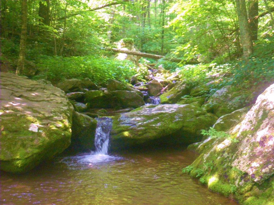 Rose River Falls Loop