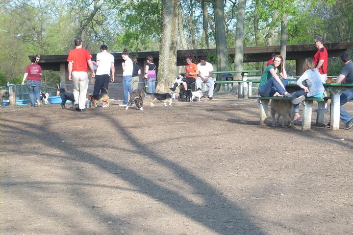 Pet Friendly Dog Park at Mt. Airy Forest