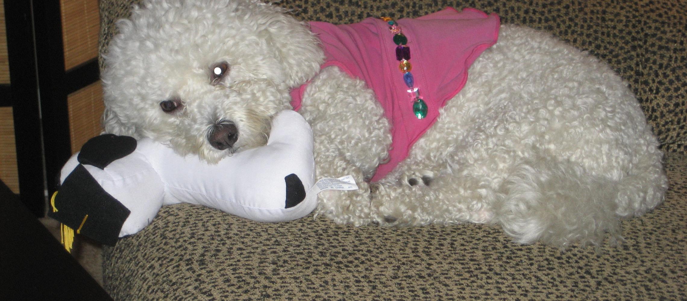 Dog Friendly Toms River, NJ