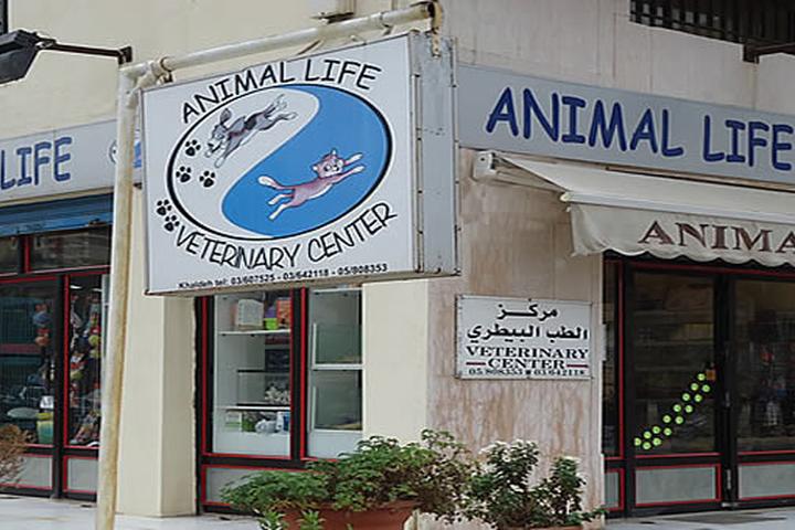 Pet Friendly Veterinary Center Animal life 