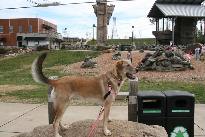 Pet Friendly U.S. National Whitewater Center