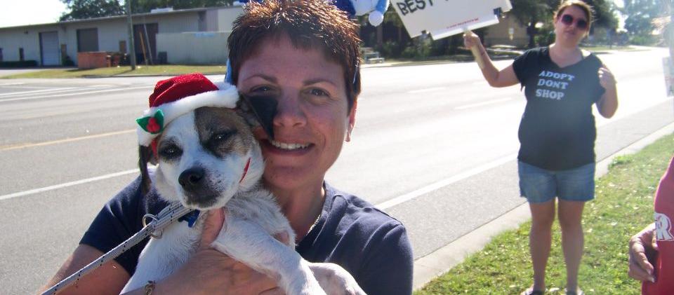 Oliver from Hillsborough County Animal Services Oliver from Hillsborough County Animal Services