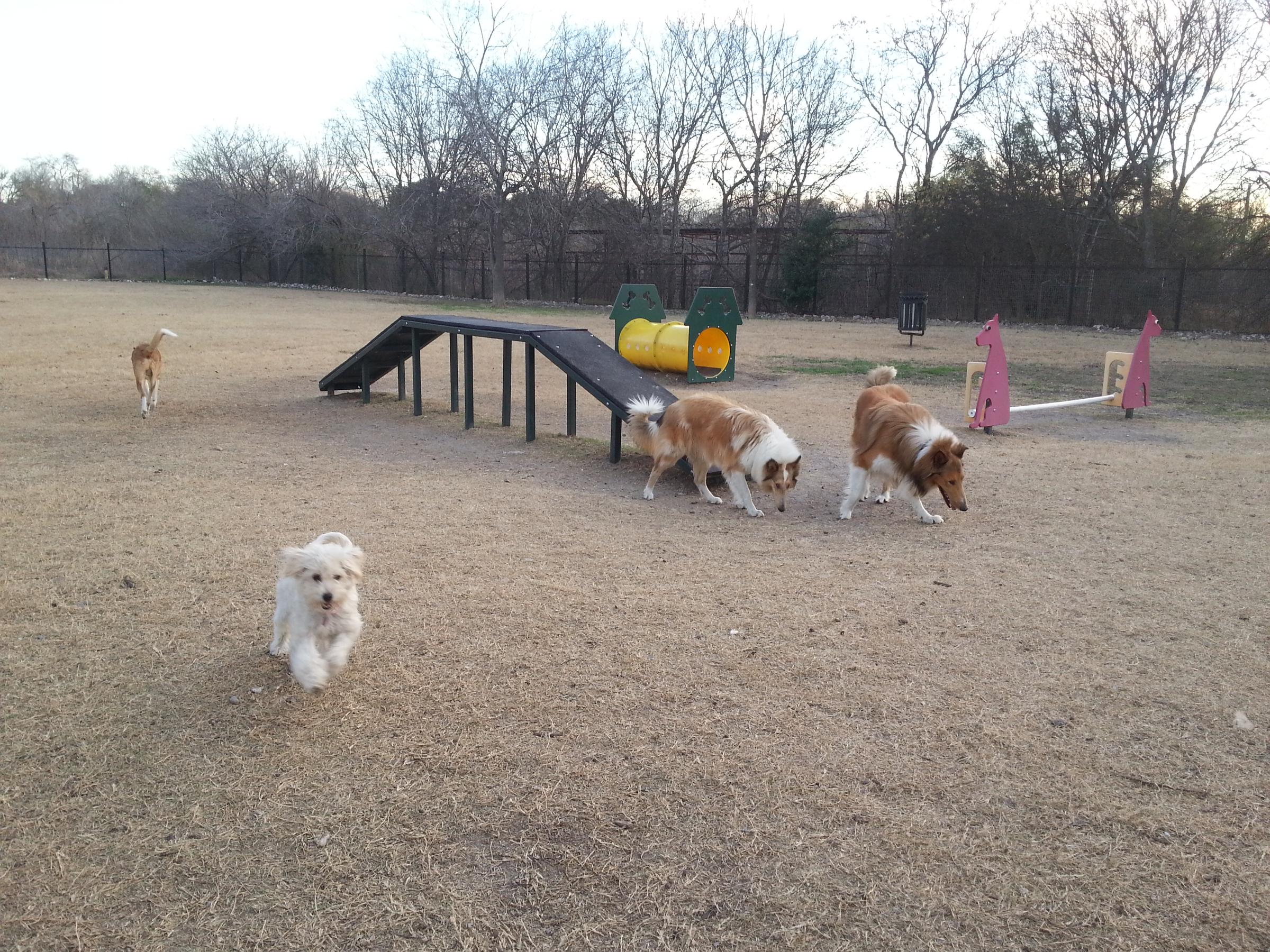 what is a good size for a dog park