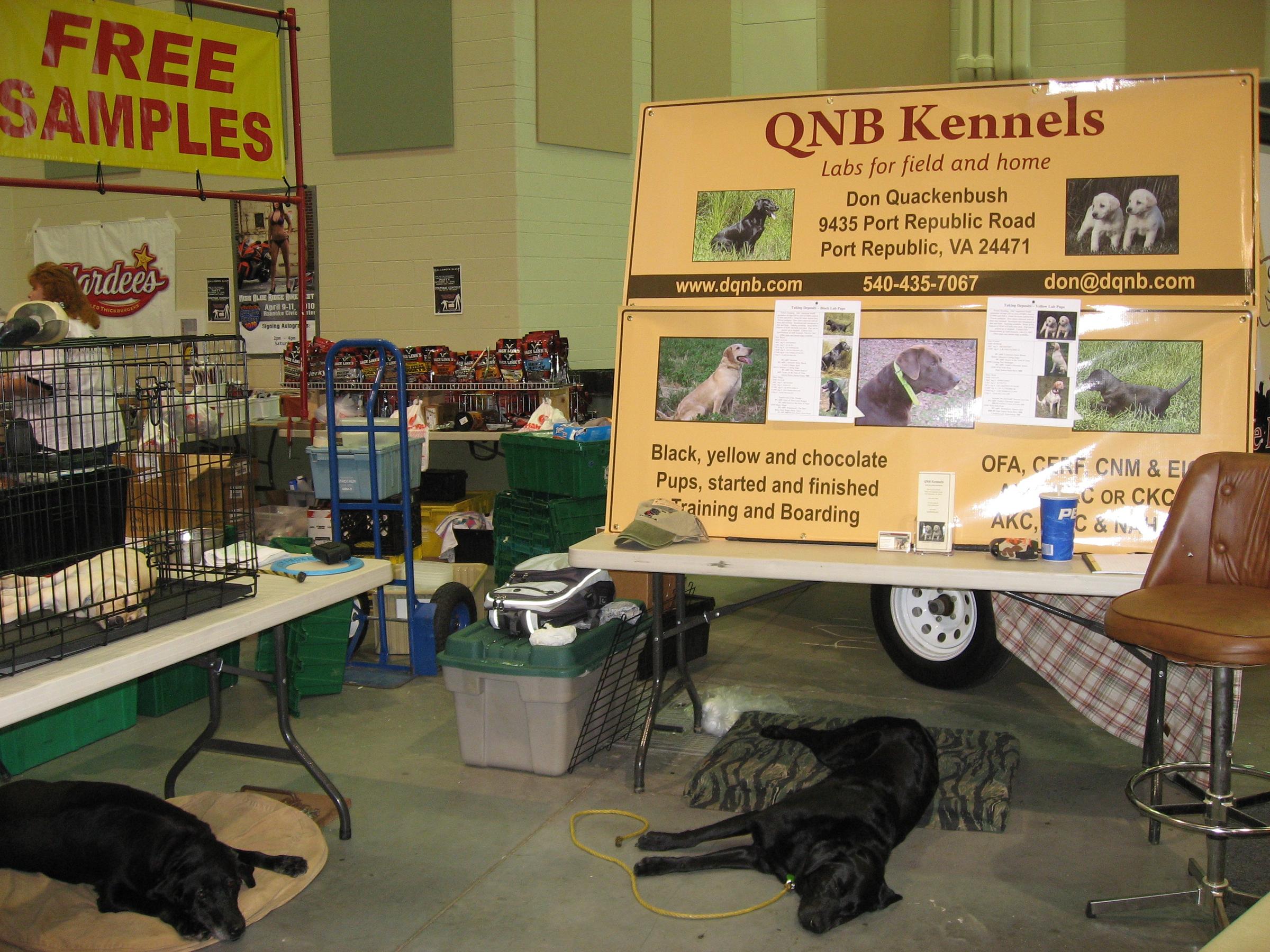Pet Friendly QNB Kennels