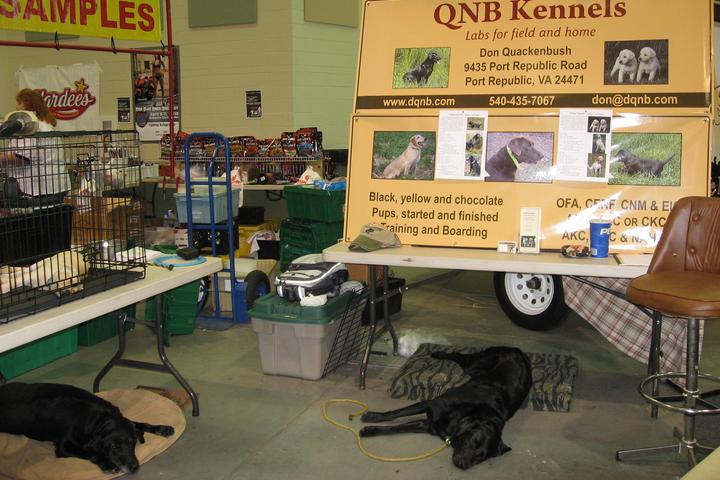Pet Friendly QNB Kennels