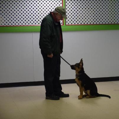 churchland k9 training