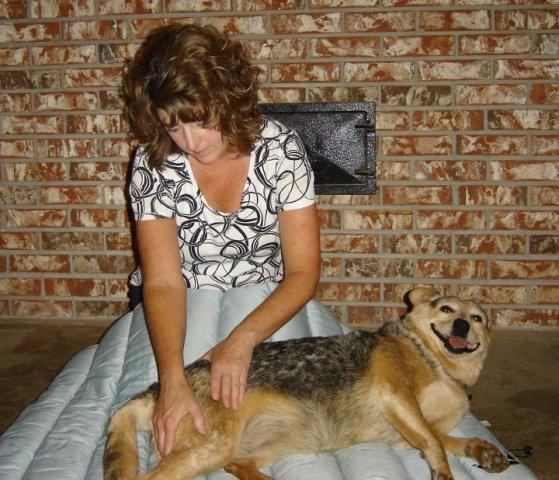 Pet Friendly Restoring Motion Canine and Equine Massage
