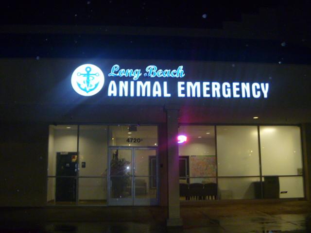 Pet Friendly Long Beach Animal Emergency