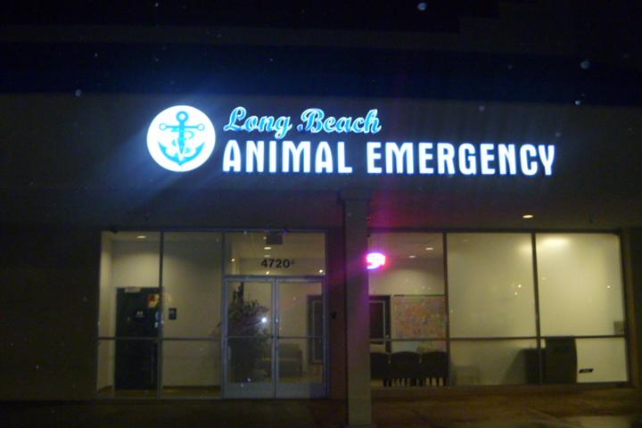 Pet Friendly Long Beach Animal Emergency
