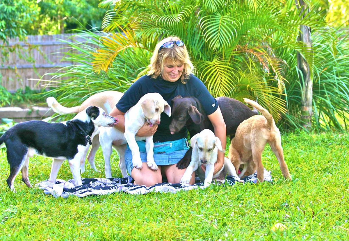 Discovering the Best Dog Daycare in Palm Beach Gardens: A Comprehensive Guide