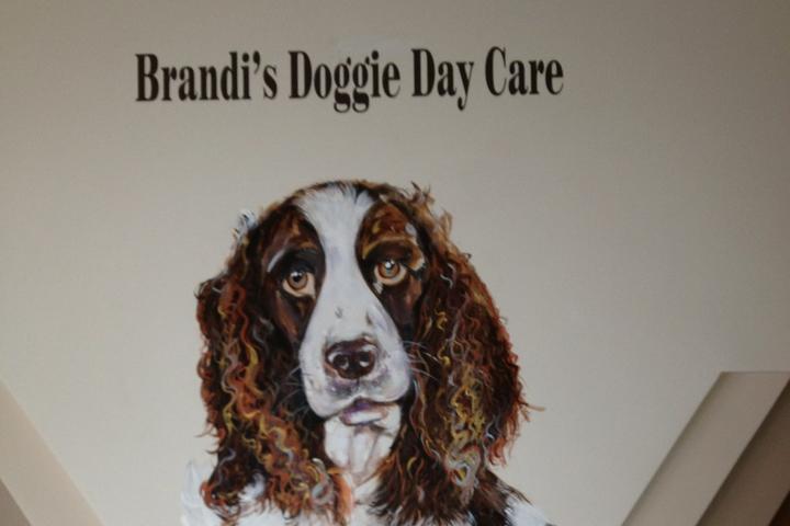 Pet Friendly Brandi's Doggie Day Care and Boarding