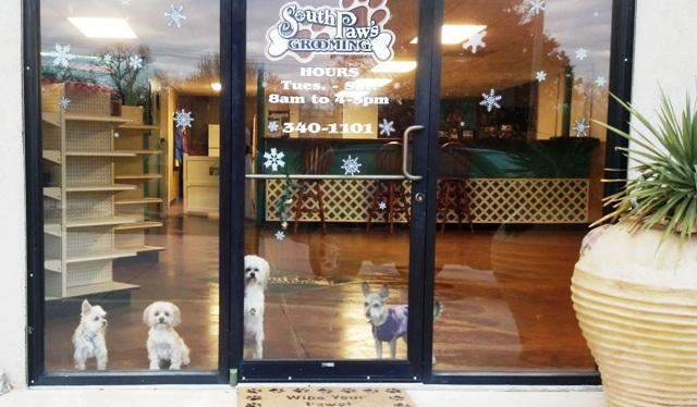 Pet Friendly South Paws Grooming