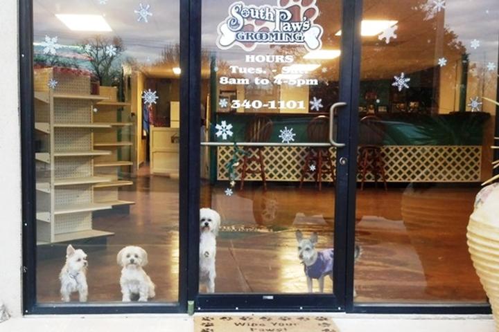 Pet Friendly South Paws Grooming