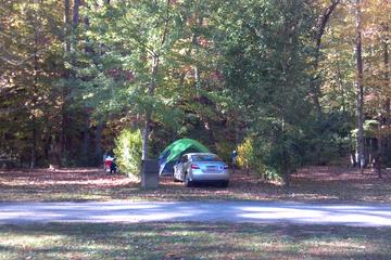 Pet Friendly Campgrounds In Chimney Rock Nc Bringfido
