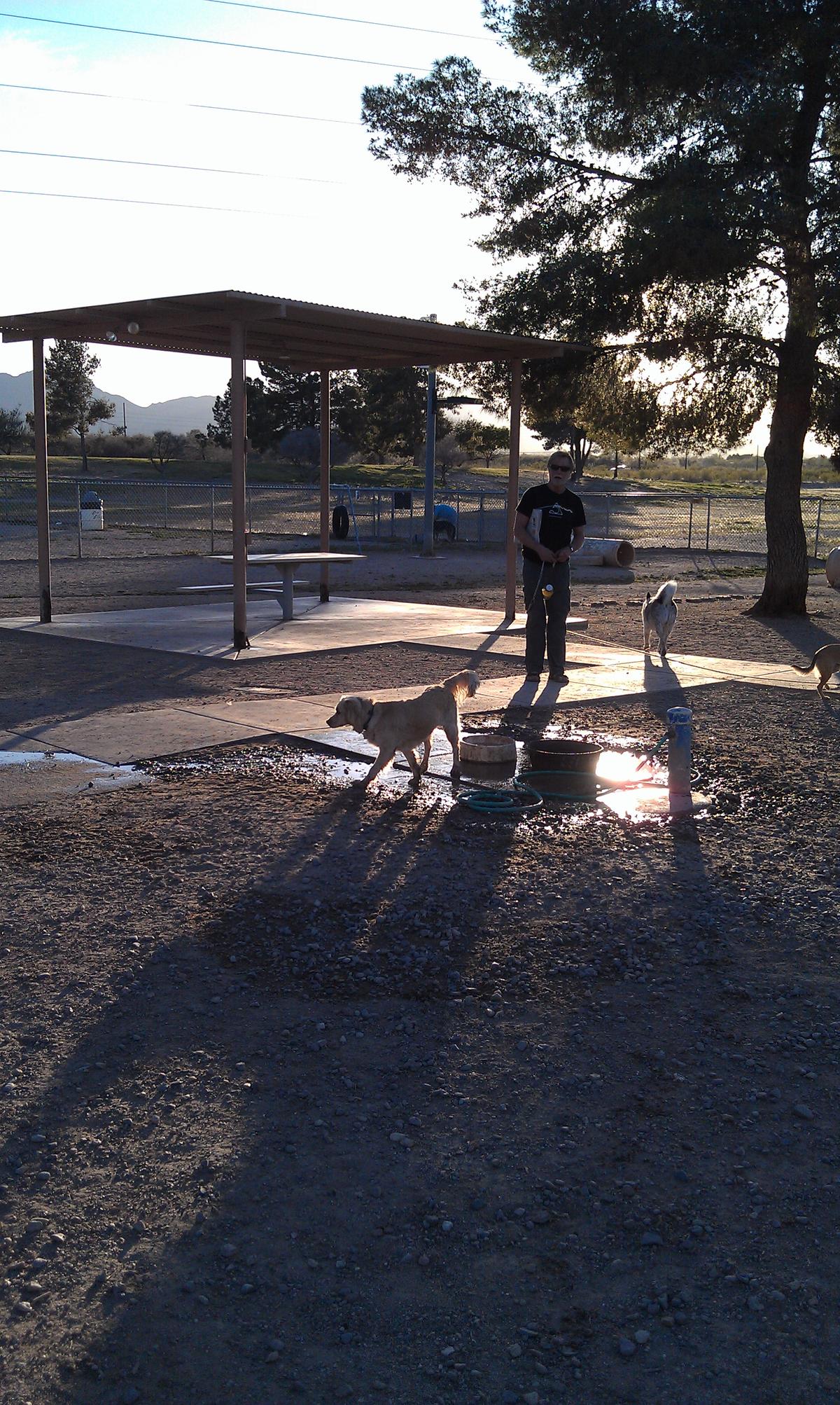 Off Leash Dog Parks In Tucson Az Bringfido