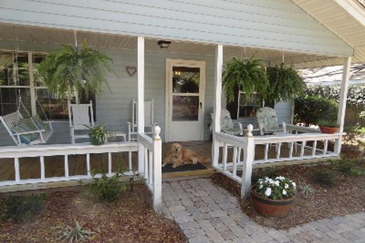 Pet Friendly Hotels In Saint Simons Island Ga