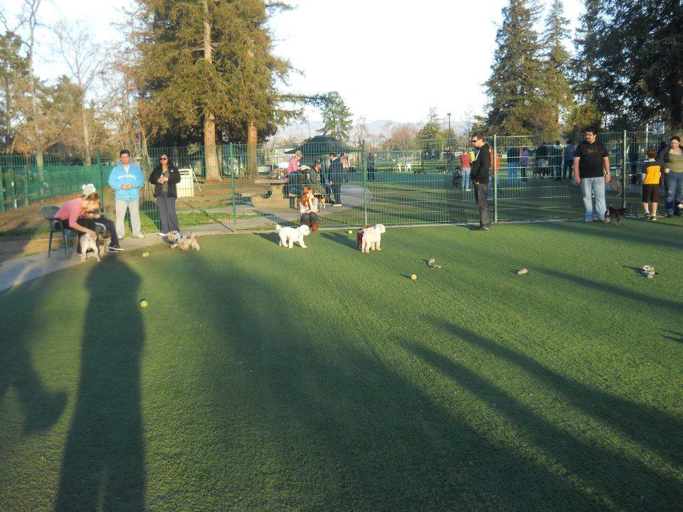 Off Leash Dog Parks in Santa Cruz CA BringFido