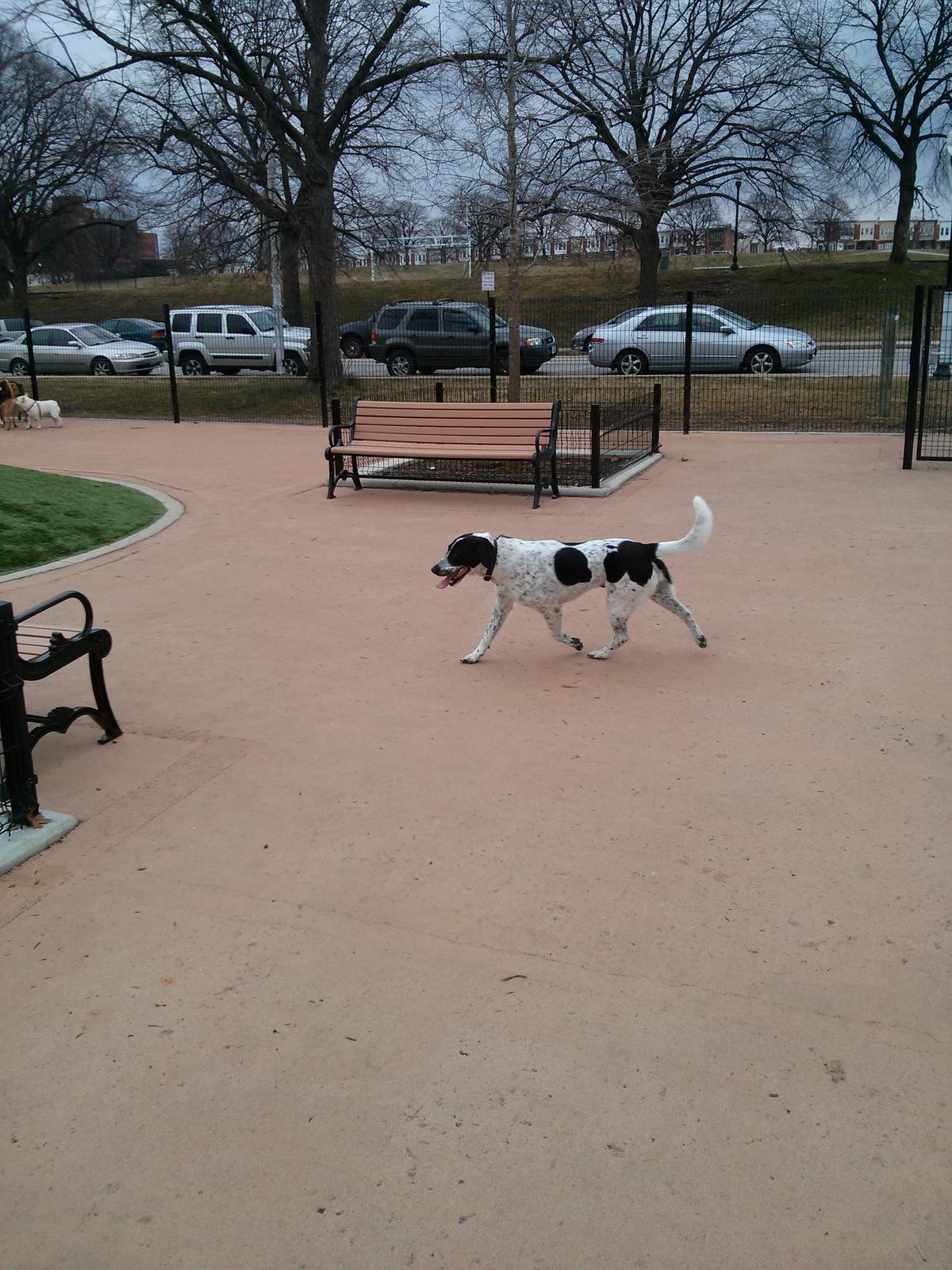 Canton Dog Park