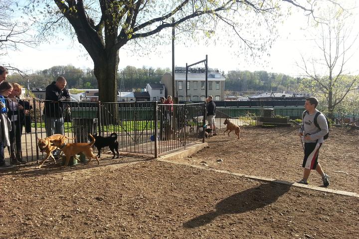 Pet Friendly Pretzel Park Dog Park