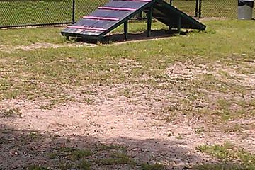 Dog Friendly Hiking Trails In Tampa Fl Bringfido