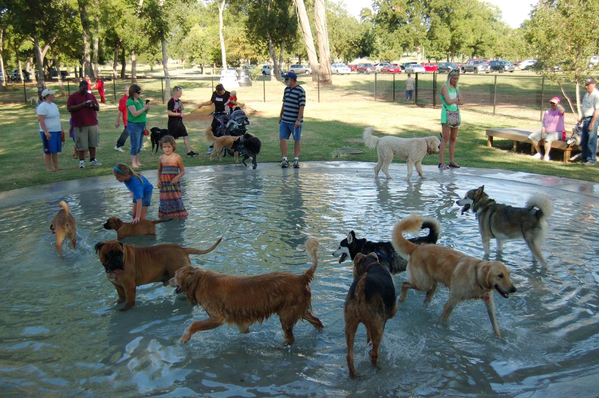 Fred Quinn Happy Tails Dog Park