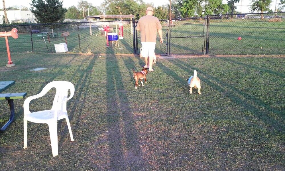 Pet Friendly Joe Station Dog Park