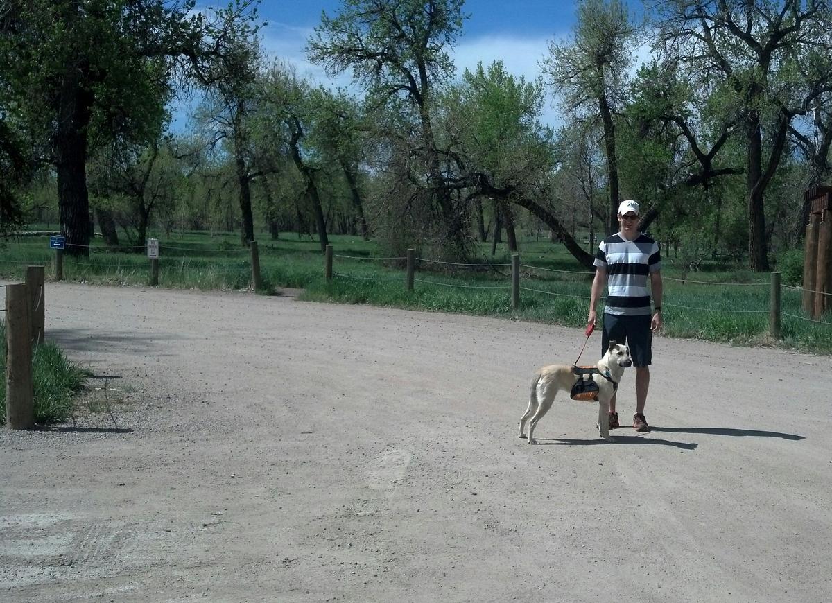 Dog Friendly Hiking Trails In Aurora Co Bringfido