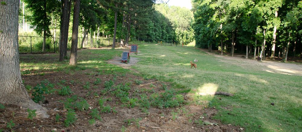 This is one of the large areas where the dogs can run back and forth - lots of friendly dogs here but I tried to take pictures when they weren't in that area. This is one of the large areas where the dogs can run back and forth - lots of friendly dogs here but I tried to take pictures when they weren't in that area.
