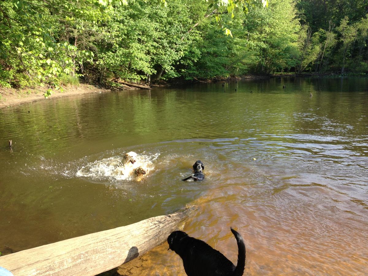 Timber Creek Park