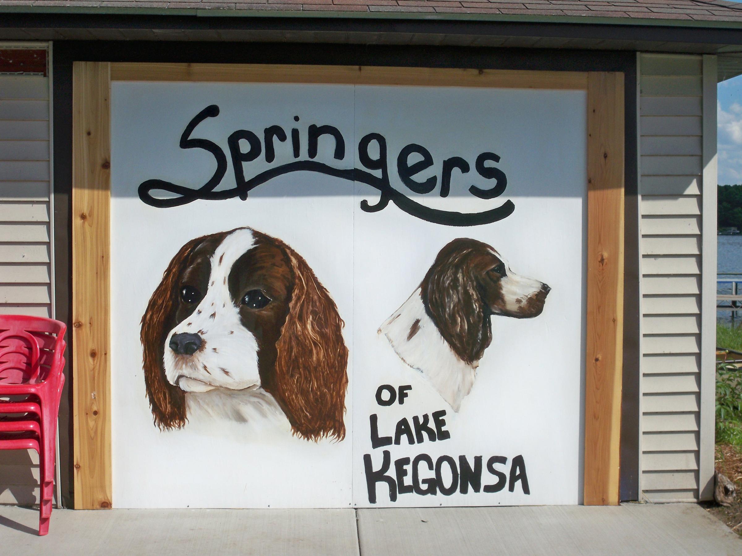 Pet Friendly Springers on the Lake