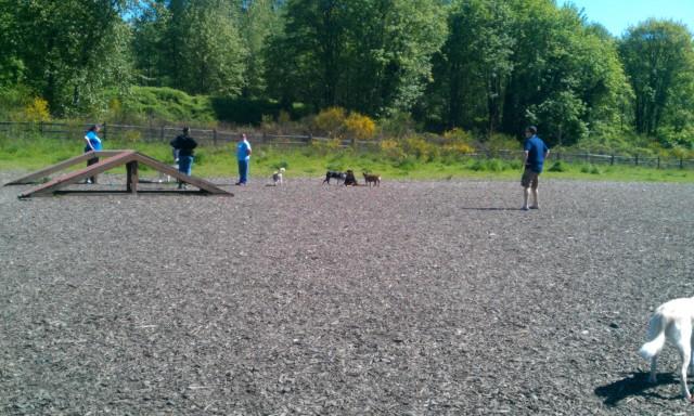Off Leash Dog Parks In Seattle Wa Bringfido