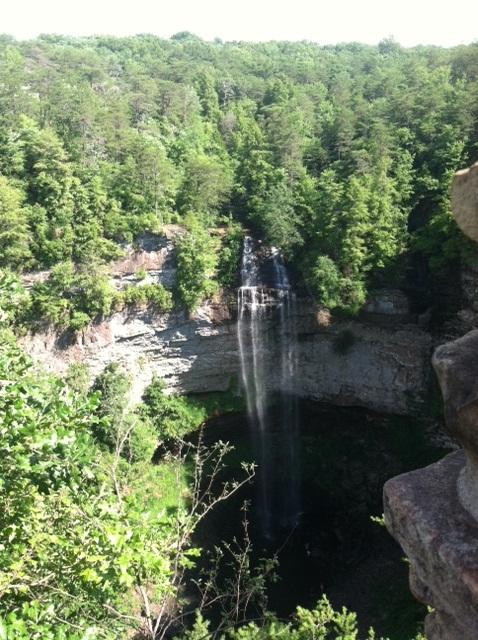 are dogs allowed at fall creek falls state park