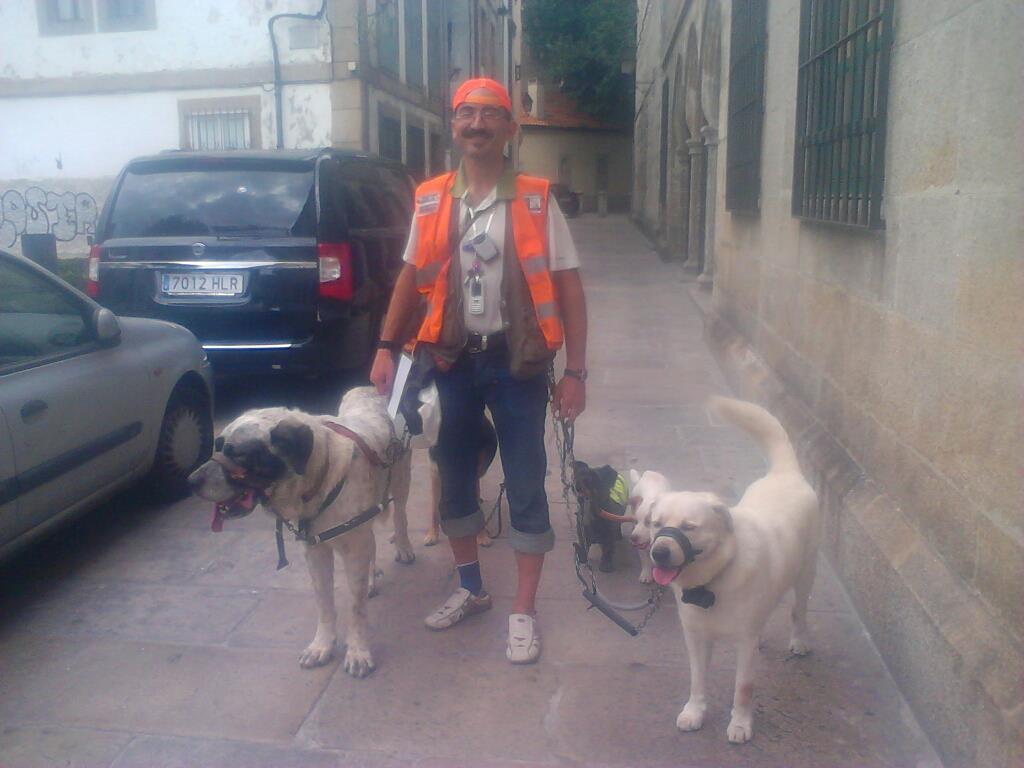 Pet Friendly Dog Walkers Galicia