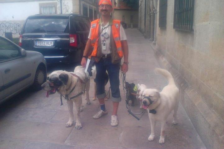 Pet Friendly Dog Walkers Galicia