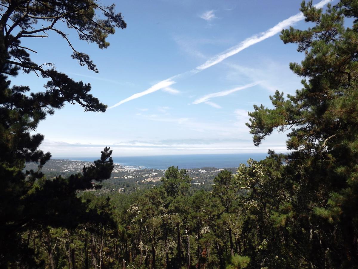 Jacks Peak County Park