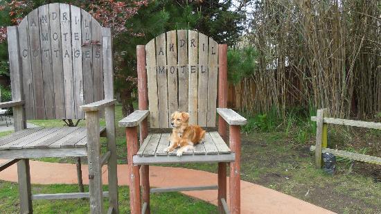 Andril Fireplace Cottages Pet Policy