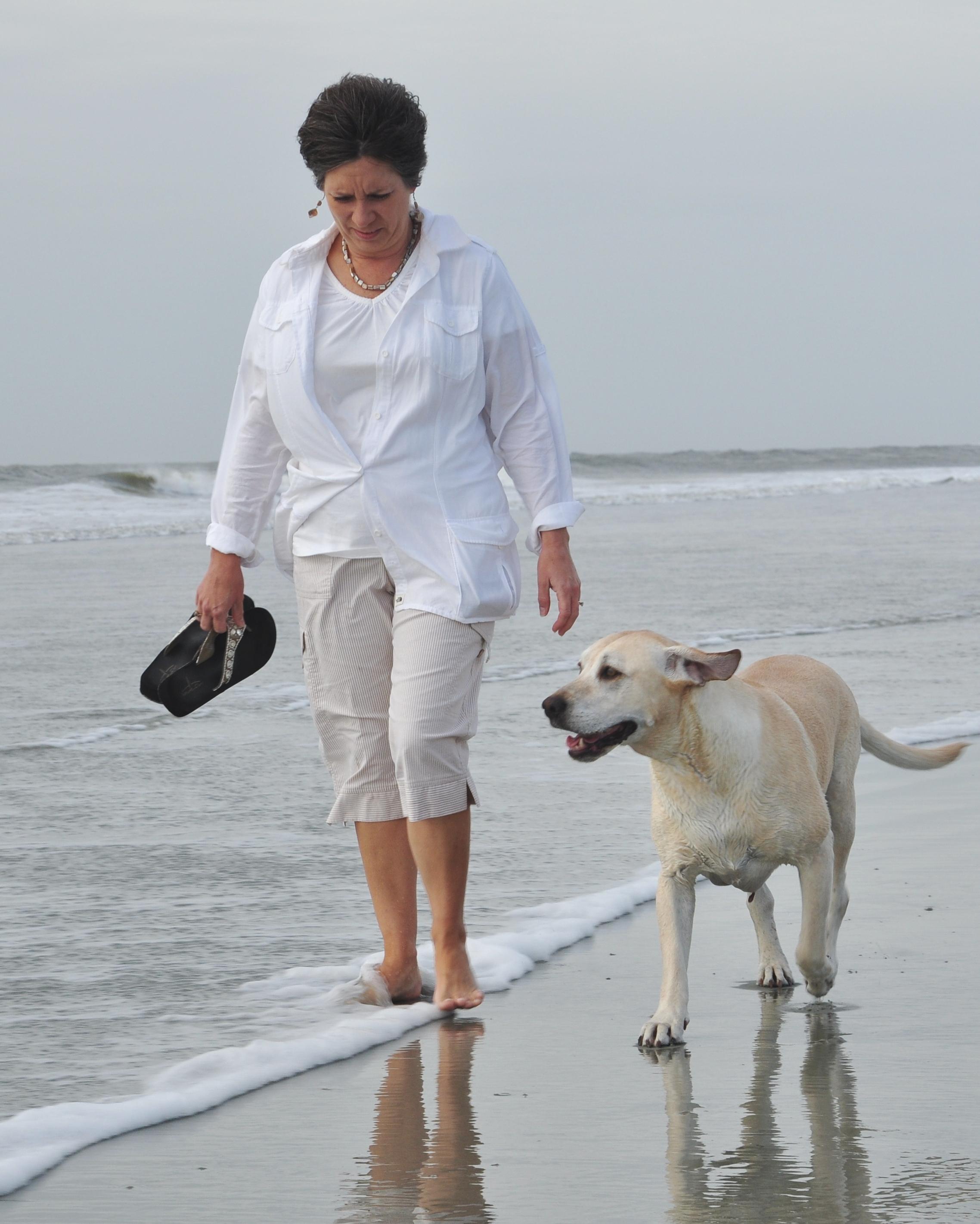 are dogs allowed at hunting island state park