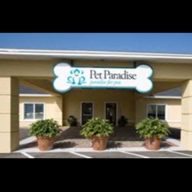 Pet Paradise Boca Raton