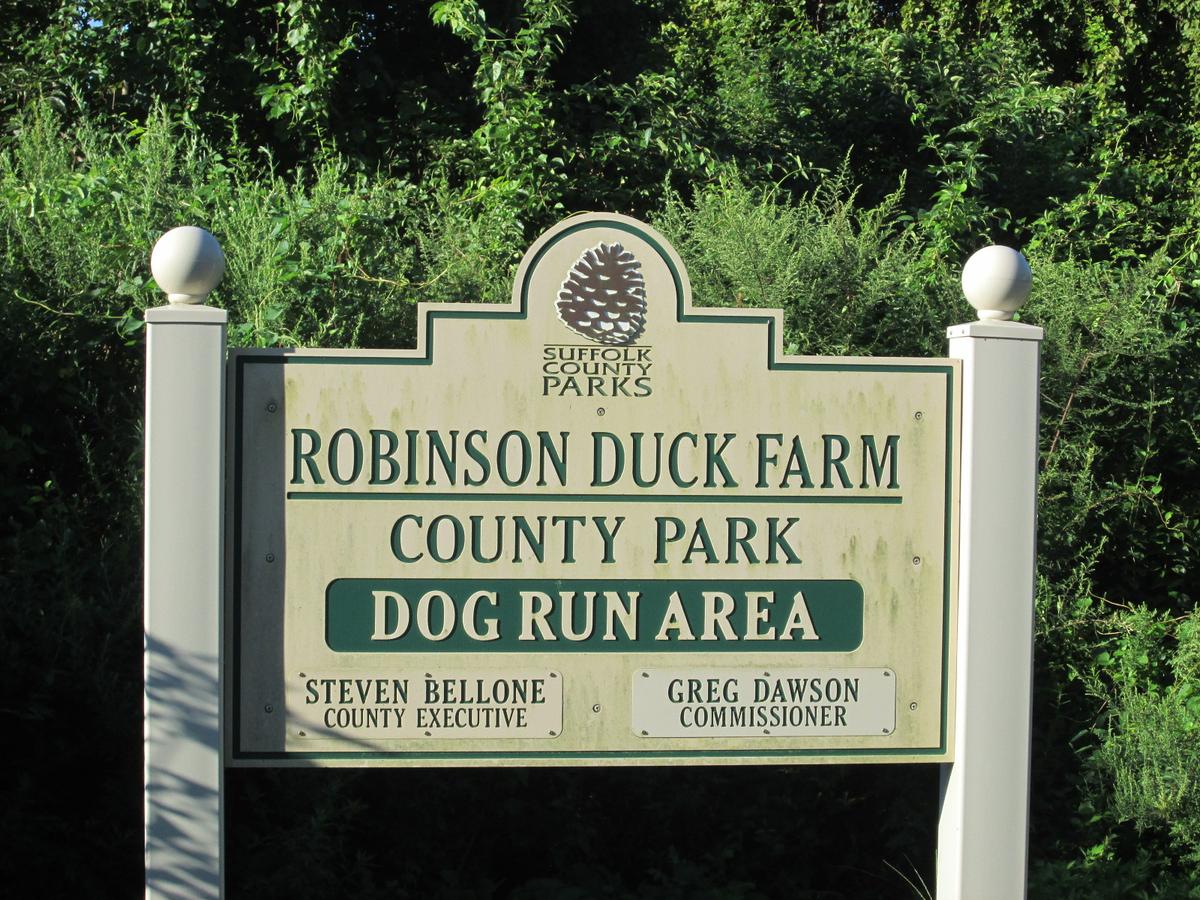 Robinson Duck Farm Dog Run Area