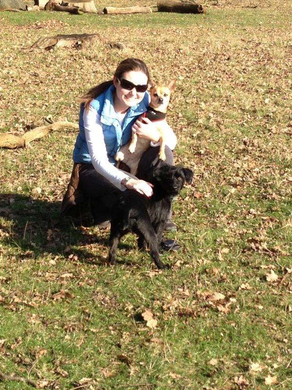 life of riley pet hotel & spa