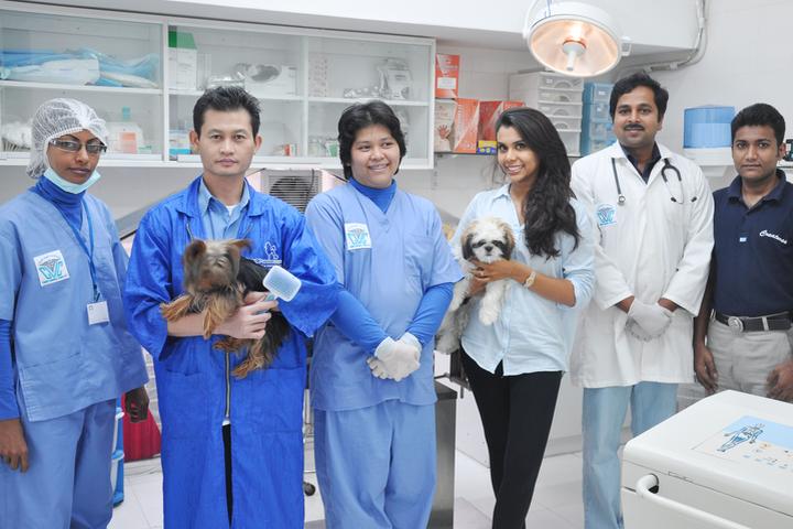 Pet Friendly Capital Veterinary Centre LLC