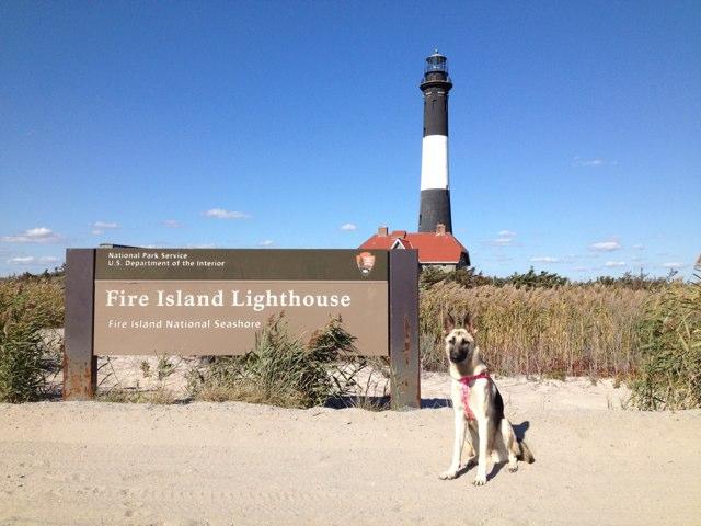 are dogs allowed at fire island lighthouse