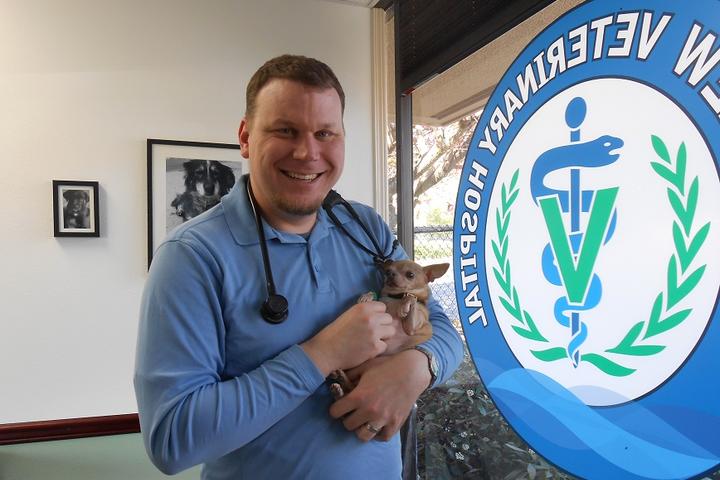 Pet Friendly Soundview Veterinary Hospital