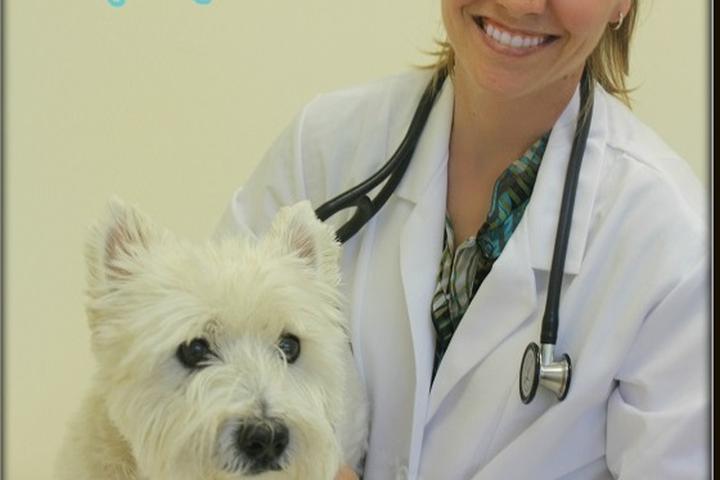 Pet Friendly Pet Dermatology Clinic