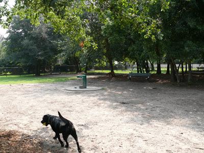 Pet Friendly Dog Run at Ackerman Park