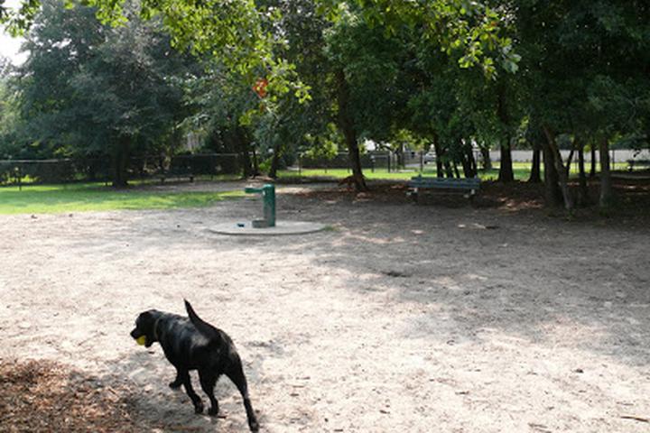 Pet Friendly Dog Run at Ackerman Park