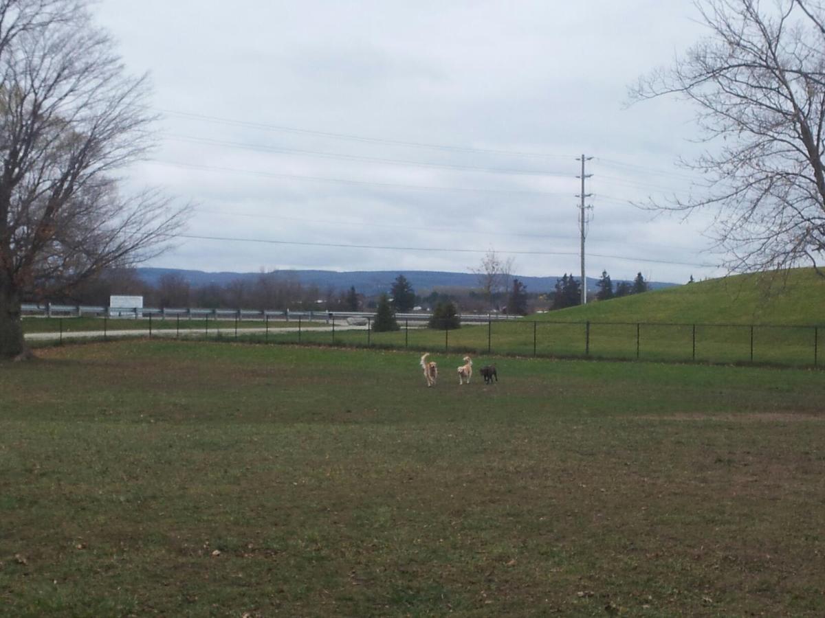 Off Leash Park