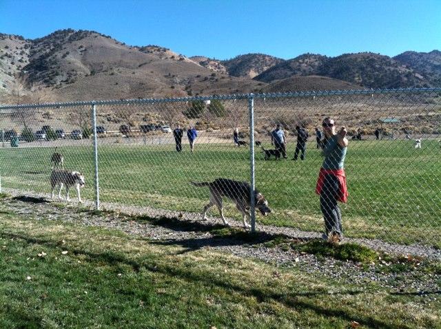 Link Piazzo Dog Park at Hidden Valley Regional Park