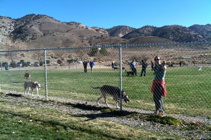 Pet Friendly Link Piazzo Dog Park at Hidden Valley Regional Park