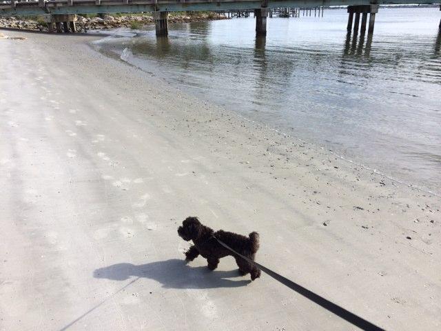 Walking on the Sand at Beaches Restuarant